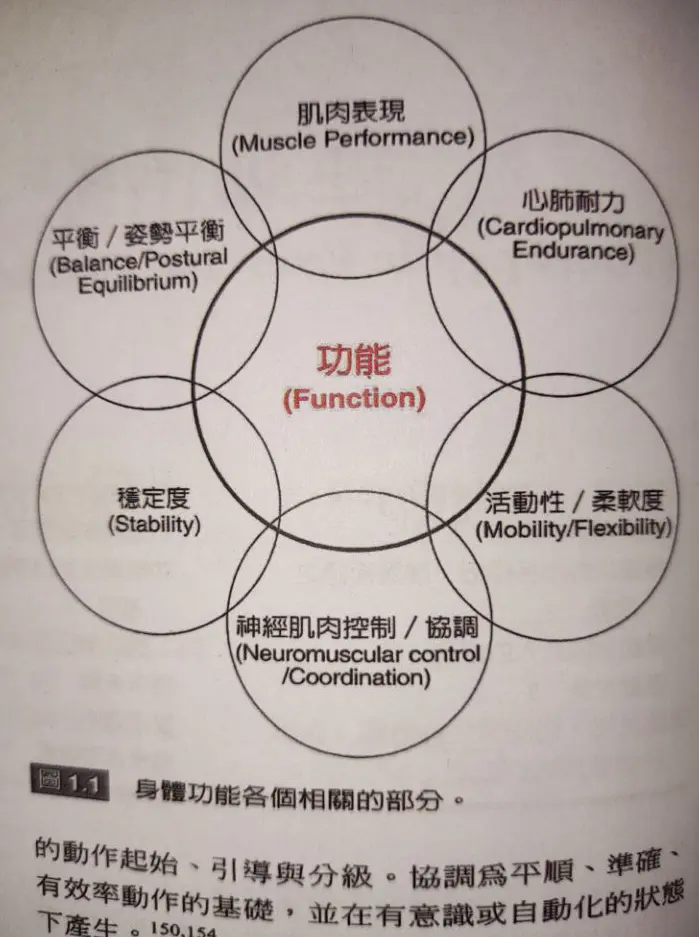 身体功能各个相关部分
