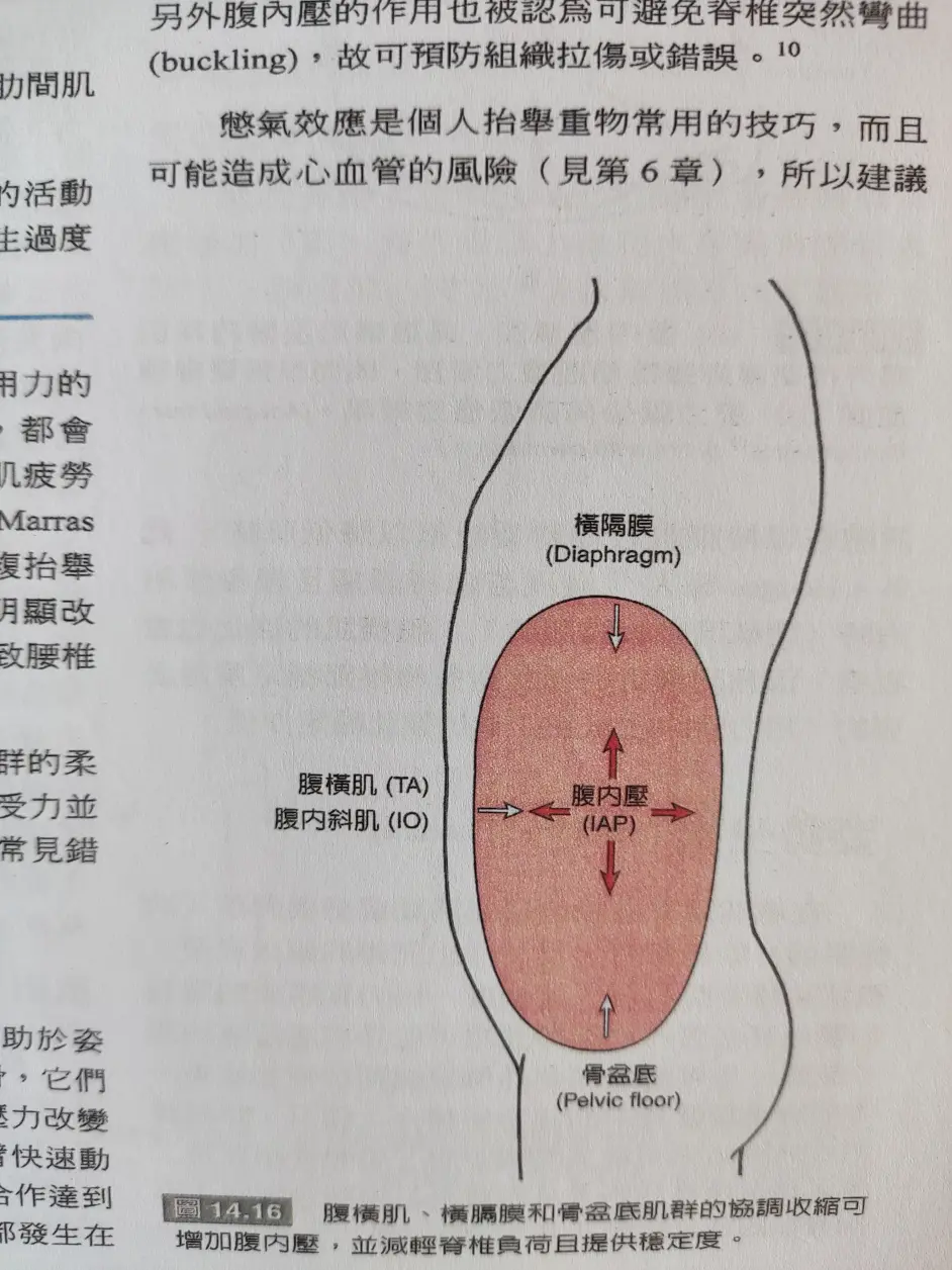 腹内压